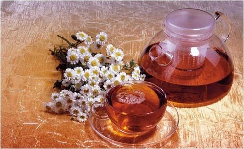 Երիցուկ արգանդի վզիկի օստեոխոնդրոզով